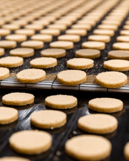 Row of unbaked shortbread cookies by Walker's