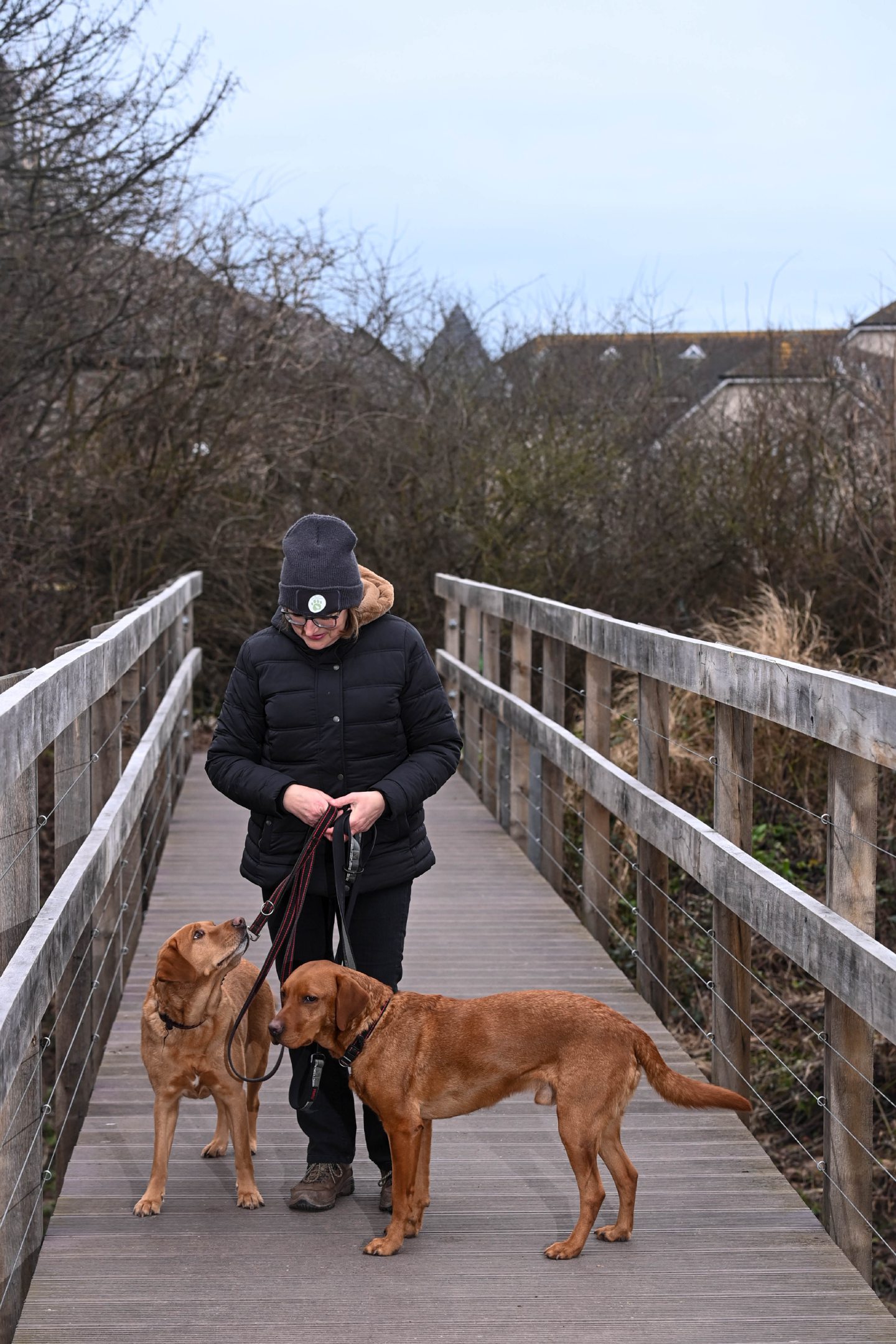 Marion Montgomery on a walk in Stonehaven with her two dogs Paddy and Ted. 