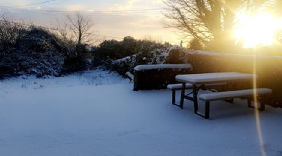 Aberdeen snow back garden