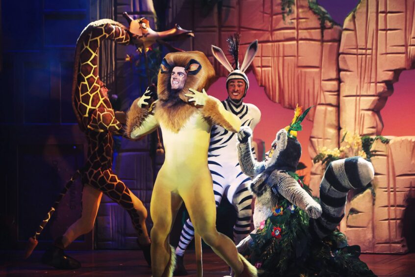 Madagascar the Musical is coming to Eden Court in Inverness.