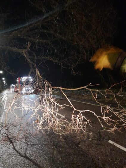 Tree fell over the road near Arrochar during the storm.