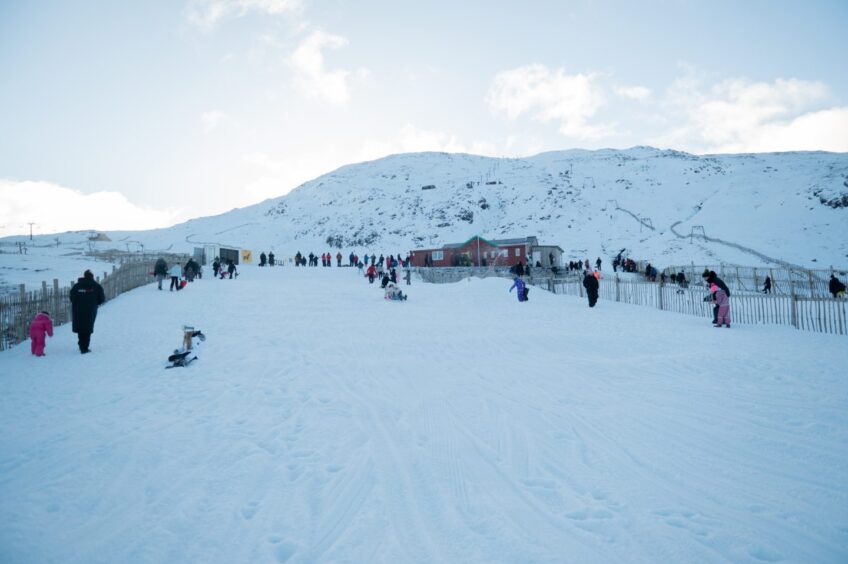 With a lack of snow for skiing and snowboarding - Glencoe Mountain resort is offering sledging, as this picture shows.