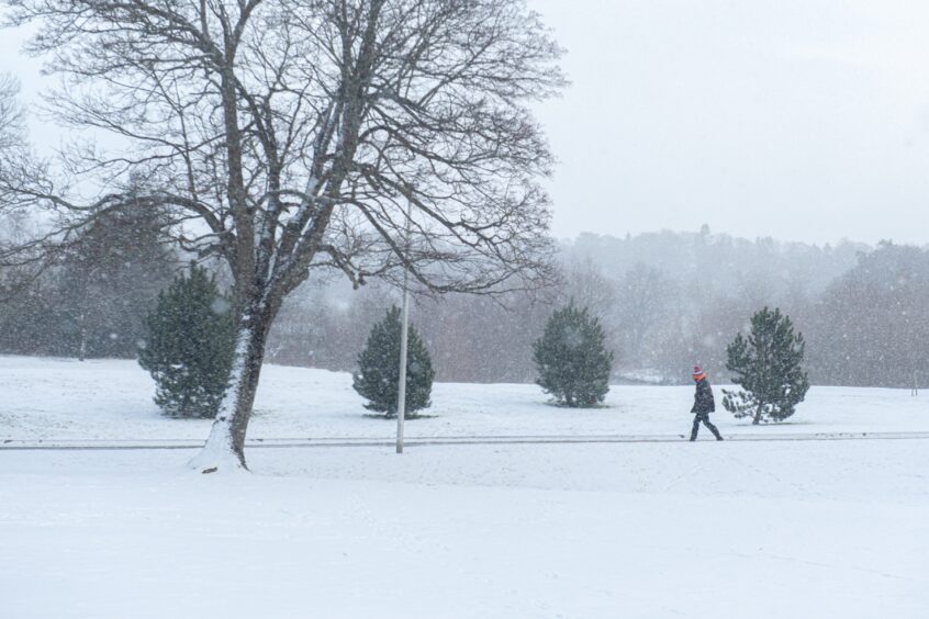 A person running in snow in Cooper Park. 