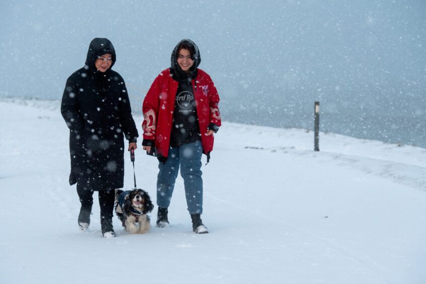 Two women walking dog in snow.