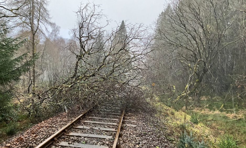 Tree blocks the West Highland Line.