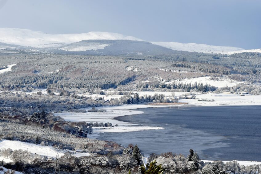 Partially frozen Dornoch Firth with Ardgay behind the trees