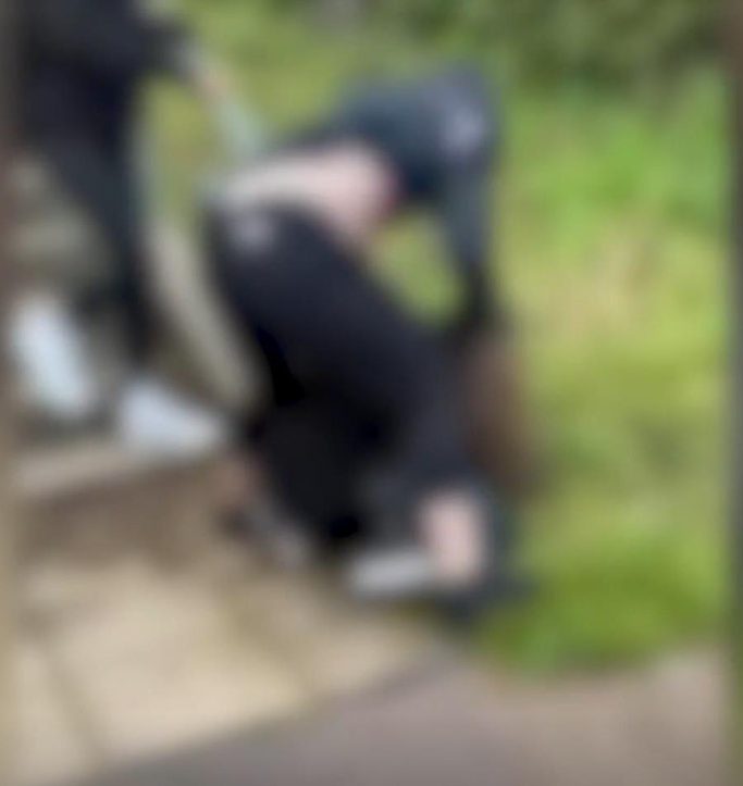 A blurred screenshot of a video of a pupil being repeatedly struck by another.