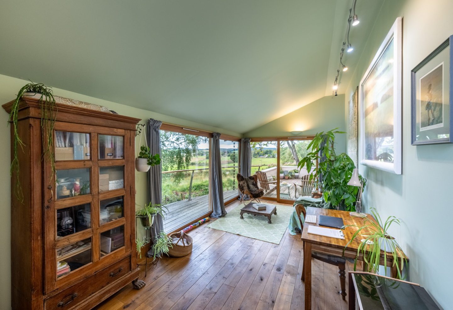A room in the home with oak woods and soft green walls with a matching rug. There are several lush and healthy houseplants getting lots of natural light from the large windows