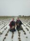 William and David Moir of Home Farm Cairness won the RNAS turnip growing competition.