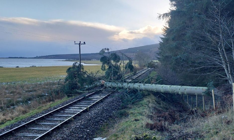 A tree blocking the Far North Railway line near Wick.