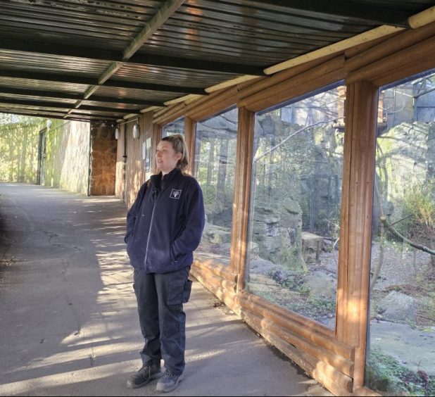 Kirsty MacFaul, senior for birds, primates and kolas standing at Honshus new enclosure