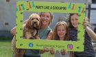 Dog parties are coming to Aberdeen and Inverness next month. Image: Pawsome Parties
