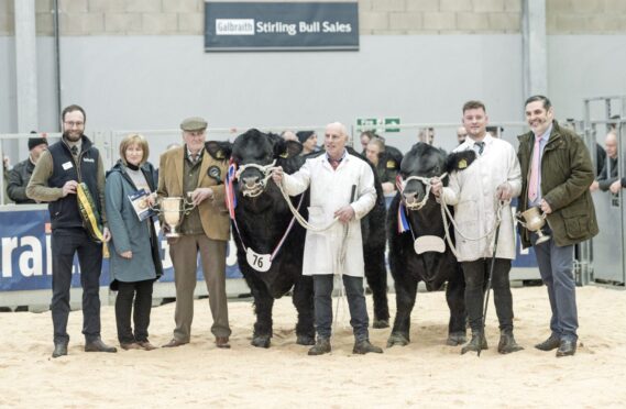 The Aberdeen-Angus championship was won by June Barclay of the Harestone herd, with Neil and Mark Wattie from Tonley in reserve.