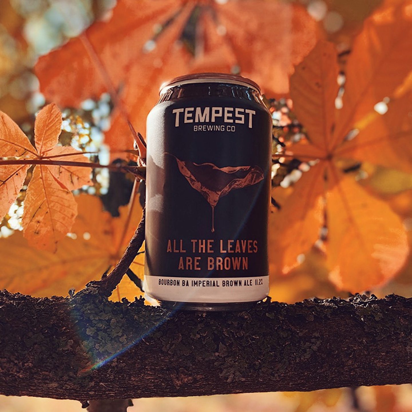 A can of All The Leaves Are Brown, from Tempest Brewing Co.