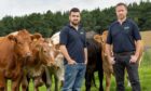 Strathspey monitor farmers Calum and Malcolm Smith from Auchernack Farm.