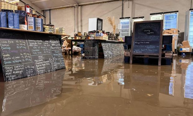 The flooded interior of the fruit farm