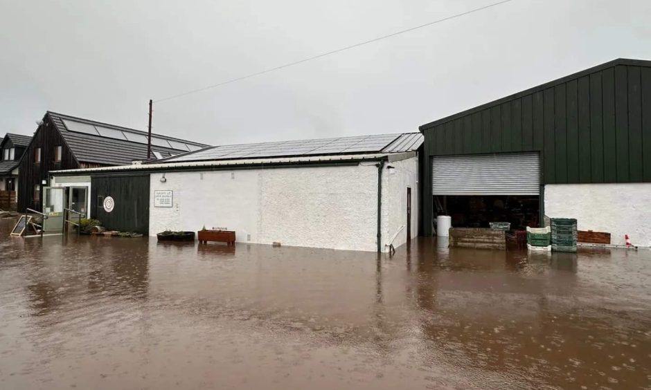 The flooding at Black Isle Berries fruit farm