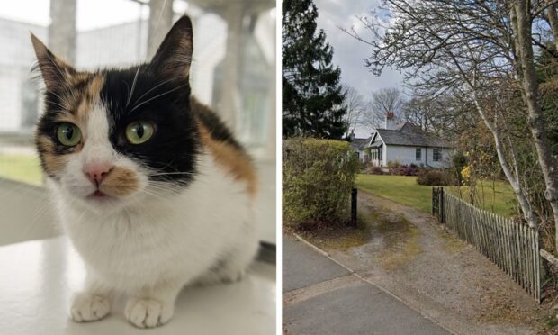 Smelly Cats? New Inverurie boarding house approved despite next door neighbour’s pong fears