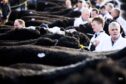 The Galloway Cattle Society's annual spring show and sale takes place in Castle Douglas next week.