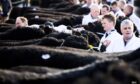The Galloway Cattle Society's annual spring show and sale takes place in Castle Douglas next week.