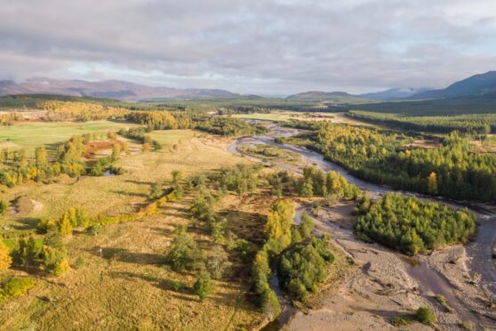 Glen Feshie in Cairngorms National Park.