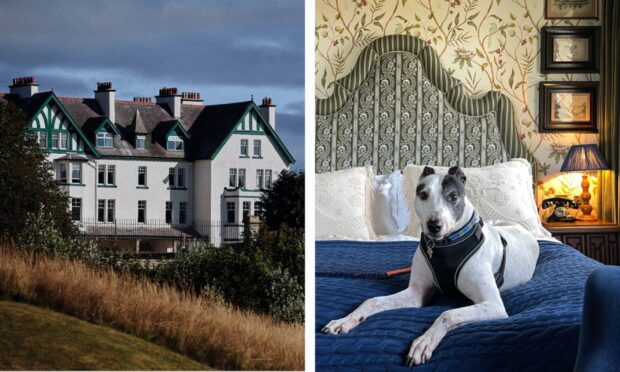 My Lurcher cross Dalmatian named Tyke gives Dornoch Station a four-paw rating. Images: Bacchus Agency (Bacchus)/Bryan Rutherford