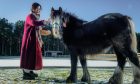 Master Mei with one of the horses at the Starlight Centre of Excellence near Ardersier. Image: Jason Hedges/DC Thomson