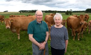 John and Margaret Penny run the 120-cow herd at Shannas near Mintlaw.