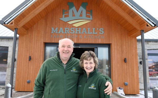 Marshall’s Farm Shop drive-thru and tractor play area to stay despite being built without permission