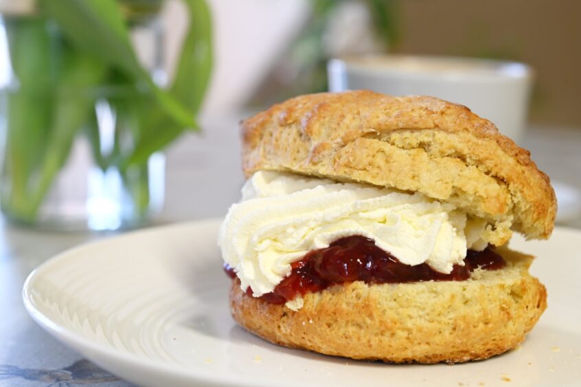 A Kemnay Farm Shop scone with clotted cream and fresh jam. 