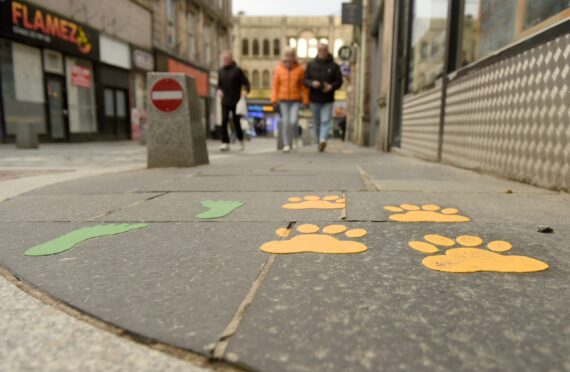 Yellow paw prints and green footprints painted on a pavement