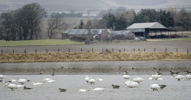 Farmers and crofters continue to battle the affects of flooding.