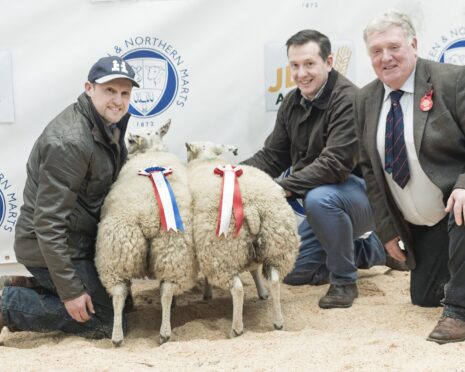 The prime lamb champions pictured with owner Angus Greenlaw, Gordon Simpson, and judge Brian McAllister.