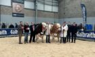 The Simmental championship was won by Richard McCulloch's herd, with the Simmers family in reserve.