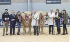 Ian and Dot Goldie secured their first ever overall championship at Stirling, and also took reserve overall.