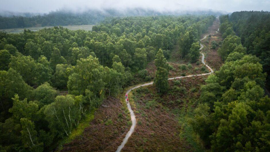 Cairngorms cycle path through trees from birdseye view. 
