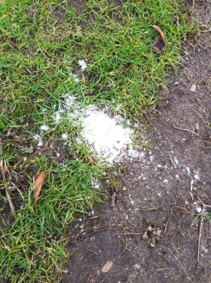 A pile of white powder left in Bruce Gardens in Torry.