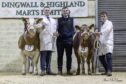 Fergus Forbes, left, with his reserve champion, judge David Wright, and Adam Mackillop, right, with the home-bred and overall champion. Pictures by Anne MacPherson