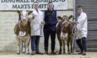 Fergus Forbes, left, with his reserve champion, judge David Wright, and Adam Mackillop, right, with the home-bred and overall champion. Pictures by Anne MacPherson