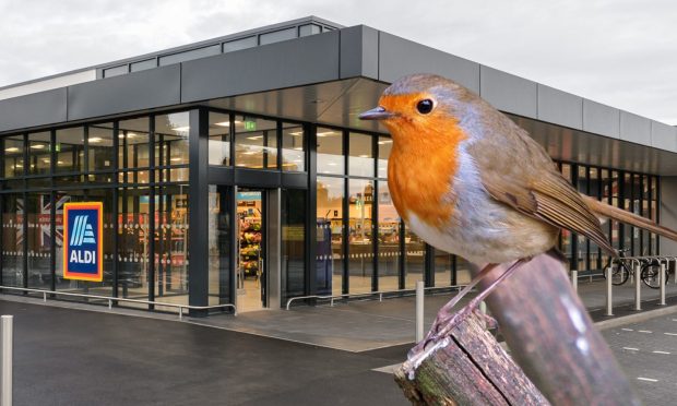 A graphic of robin on a tree stump in front of an image of an Aldi store.