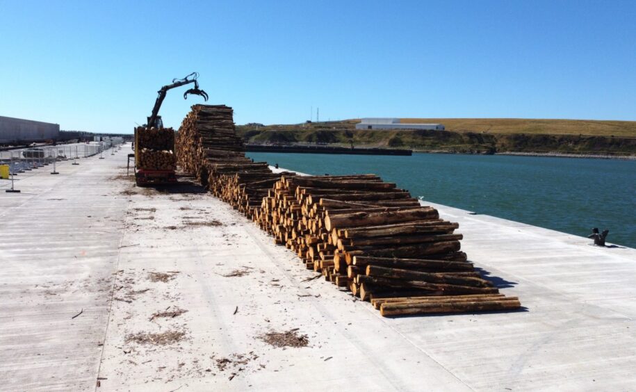 Log cargo at South Harbour