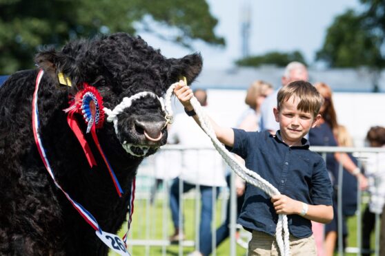 Neil Barclay pictured with the Galloway champion Moss Fayjock at RHS 2023.