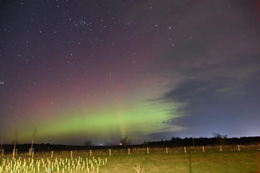 The Northern Lights turns skies green and purple in Elgin.