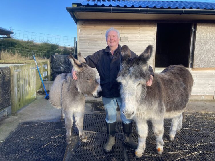 Mike Dewhurst standing with a donkey on either side 