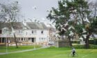 Gulls in the air above cyclist in Doocot Park in Elgin.