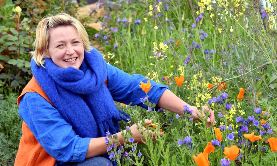 Ailsa van Rooyen also grows a variety of flowers on the farm. Image: Kami Thomson 