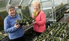 Diane McGregor and Sandra Maclennan inside Forres in Bloom greenhouses with flowers.