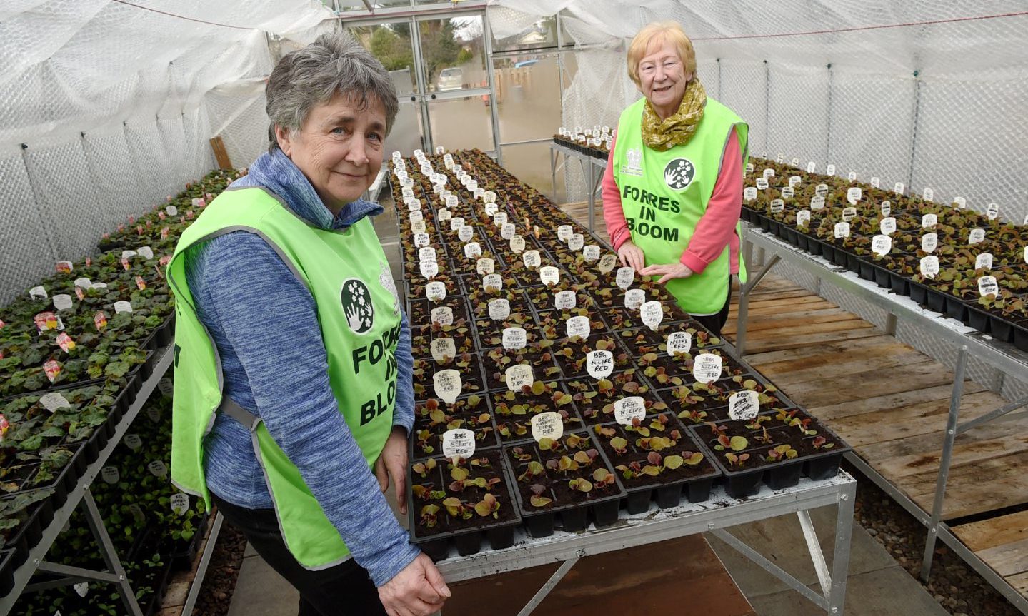 Diane McGregor and Sandra Maclennan inside greenhouse with rows of flowers. 