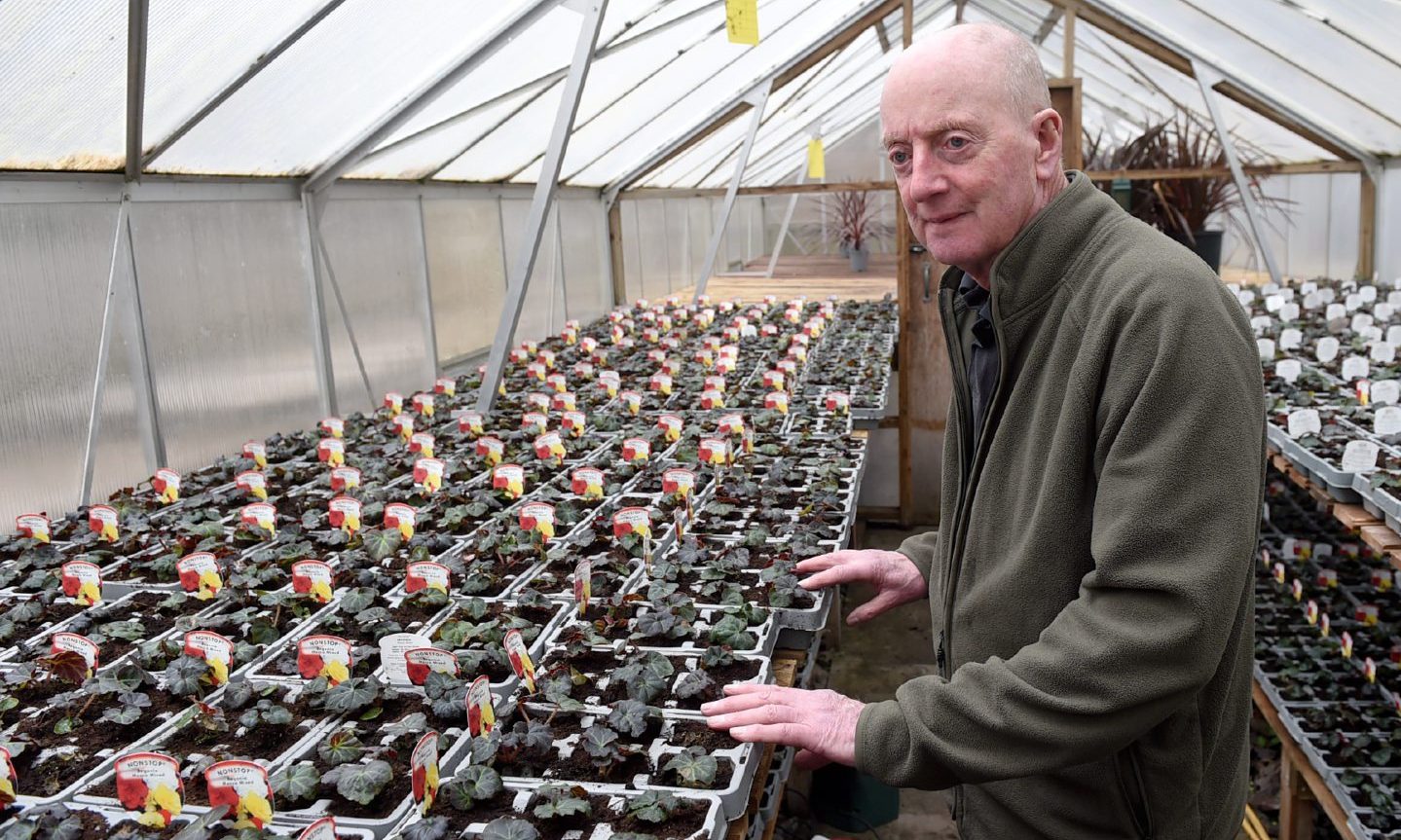 Ian Maclennan inside greenhouse looking over rows of growing flowers. 