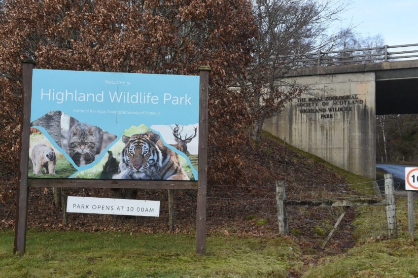 Highland Wildlife Park in Kincraig. 
